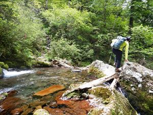 一箇所、徒渉（としょう）がありますが、現在は、水量も落ち着いており登山靴でも濡れずに渡ることができます。