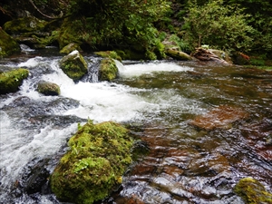 沢水が増水