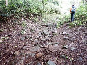 歩道の数カ所が掘れています