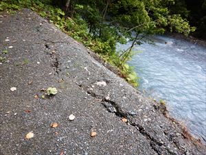 先日の大雨で林道には大きな溝ができ、雨水が流れ続けている箇所もありました。