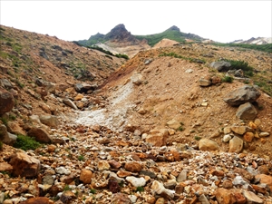 富良野岳の三峰山沢周辺を巡視