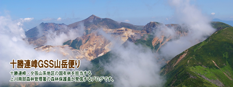 富良野発!十勝連峰GSS山岳便り