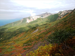 山頂が近くなると、赤色や黄色に紅葉した景色がとても綺麗