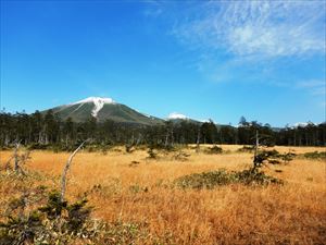 原始ヶ原から山頂付近が白くなった富良野岳を望むことができました。