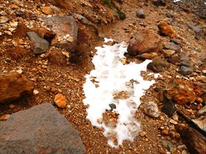 安政火口の手前から、歩道には雪が残っていますので、足元には十分注意してください。