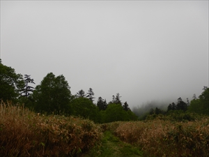 霧にさえぎられた十勝岳連峰の風景
