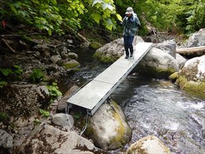 滝コースに、新たに橋が設置されていました。