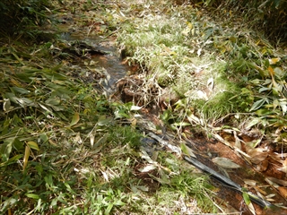 温泉のように温かい温度の水