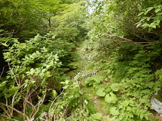 十勝岳温泉駐車場に続く連絡路