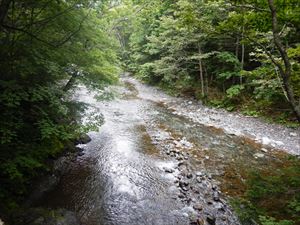 トナシベツ川は、まだ増水していませんがこれから雨量が多くなる予報です。