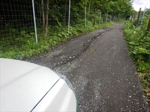 原始ヶ原登山口に向かう林道は、今朝の雨で掘れていますので、通行の際は十分注意をお願いします。