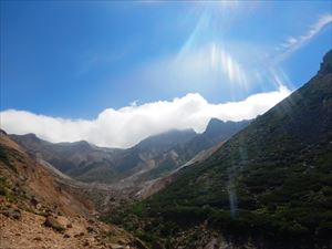 太陽の日差しが強く感じます。