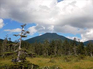 富良野岳