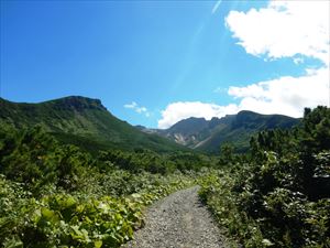 富良野岳D尾根