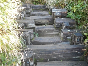 上富良野岳に続く木道階段が、朝露で滑りやすくなっているので足元には注意して下さい。