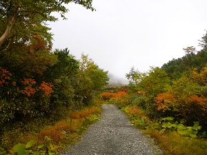 先週から、紅葉が進んでいます。