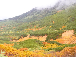 三段山方面の紅葉状況です。