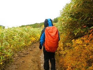 身体が冷えると低体温症になる可能性があるので、雨具、防寒具の携行をお願いします。