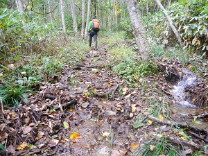 雨量が多かったので、コースの多くの箇所に大きな水たまりがありました。