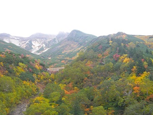 十勝岳温泉凌雲閣から、十勝岳です