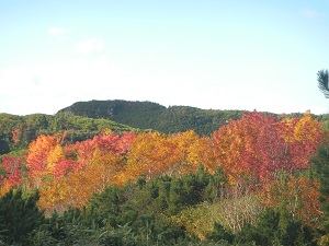 十勝岳温泉凌雲閣