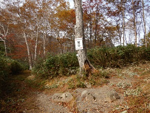 旧道コースと覚太郎コースとの分岐になっている鶯谷（うぐいすだに）。