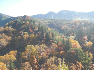 三峰山と紅葉