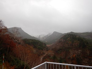 雪が見えます