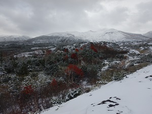 綺麗な雪と紅葉のコントラスト