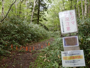 林道上のヒグマ出没注意看板