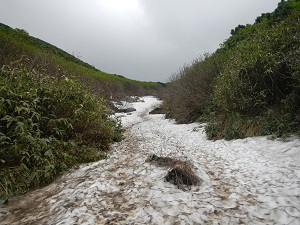上ホロ分岐のあたりの雪渓