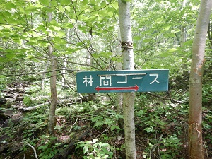 林間コース案内板