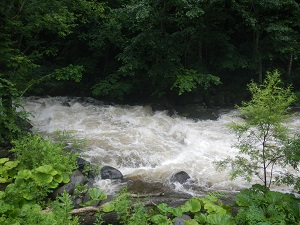 増水した林道沿いの布部川
