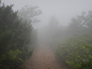 厚い雲に覆われた歩道の様子