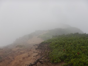 厚い雲に覆われた山頂付近の様子