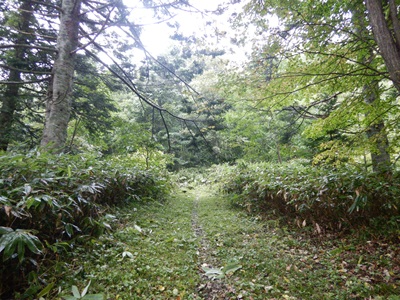 旧道コース入口
