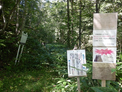夕張岳金山コース、歩道入口の様子