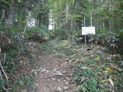 笹狩りが行われた歩道