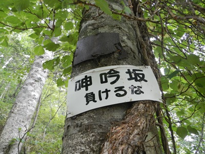 負けるなと書かれたしんぎんざか案内表示