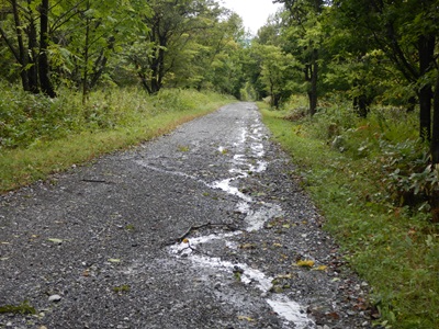 雨風の影響で溝のできている林道の様子