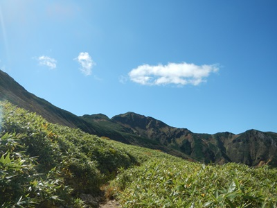 晴れ間に見えた富良野岳山頂