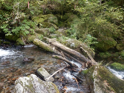 丸太橋が流され徒渉できない様子