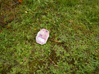 歩道入り口周辺に落ちていたゴミ