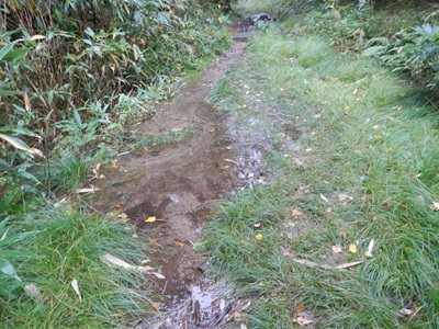 小川のようになった歩道の様子