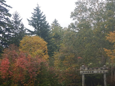 十勝岳歩道入口の様子