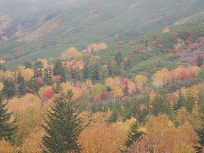 望岳台の美しい紅葉
