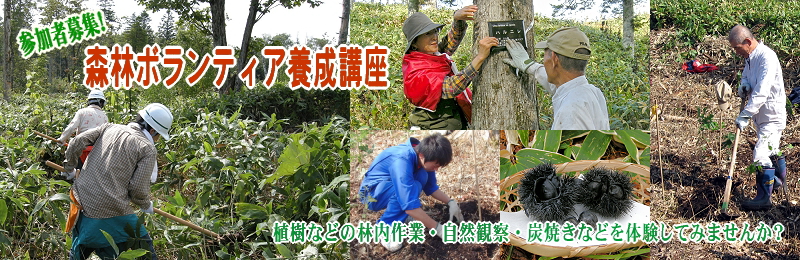 森林ボランティア養成講座参加者募集