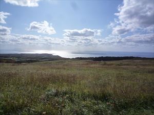 眼下に広がる牧草地、ブドウ畑、光る海