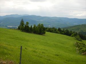 生田原の山々