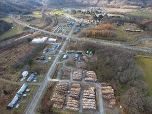 共同土場の丸太集積状況